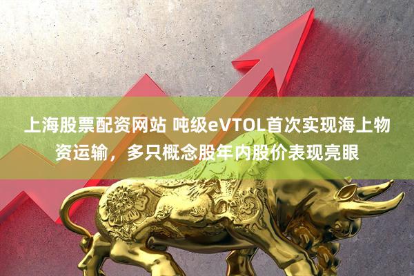 上海股票配资网站 吨级eVTOL首次实现海上物资运输，多只概念股年内股价表现亮眼